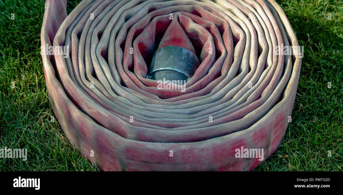 Coiled fire hose on a sunlit grassy ground Stock Photo Alamy