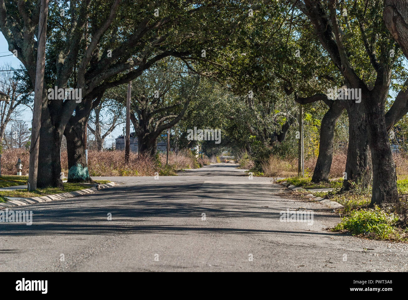 Lower 9th Ward in New Orleans Stock Photo Alamy