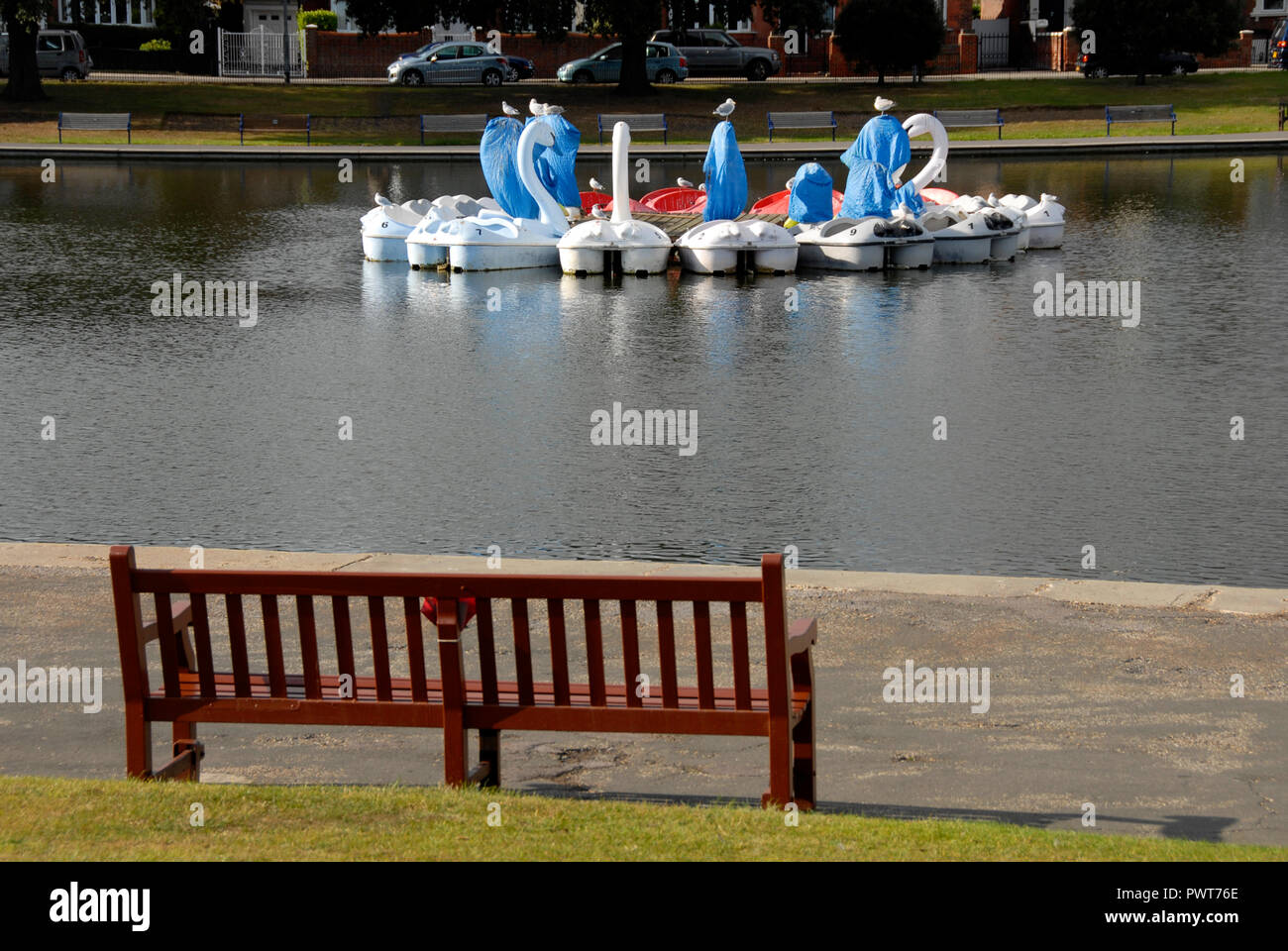Pedalos in the shape of swans, Canoe Lake, Southsea, Porstmouth, Hampshire, England, partly covered as out of season. Empty seat in foreground. Stock Photo