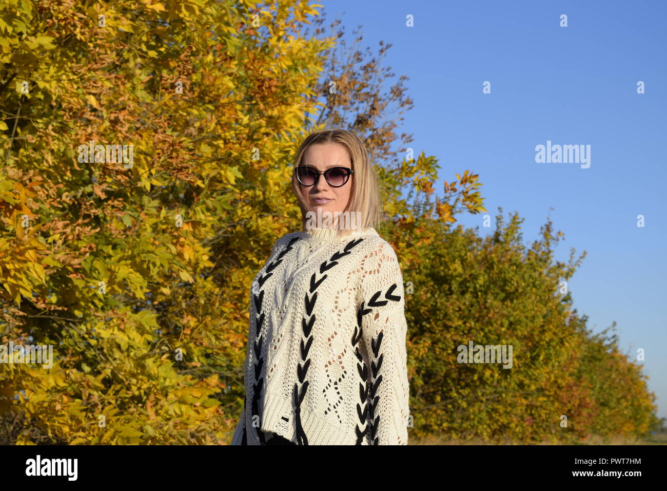 Girl on a background of yellow leaves of autumn trees. Girl in ...