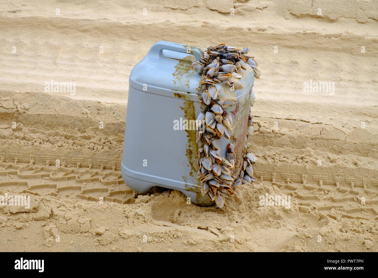 Rubbish washed up on the beach - Fraser Island Stock Photo - Alamy