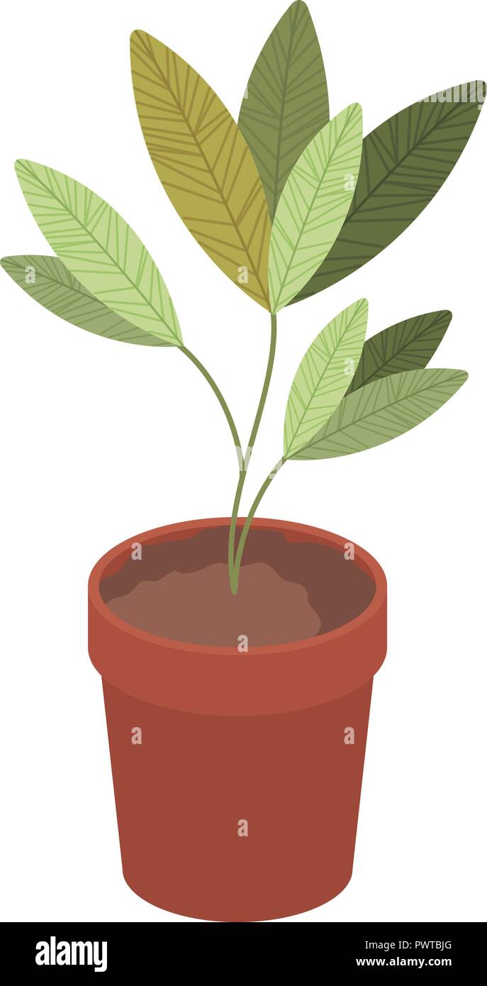 house plant pot isolated icon Stock Vector Image & Art - Alamy