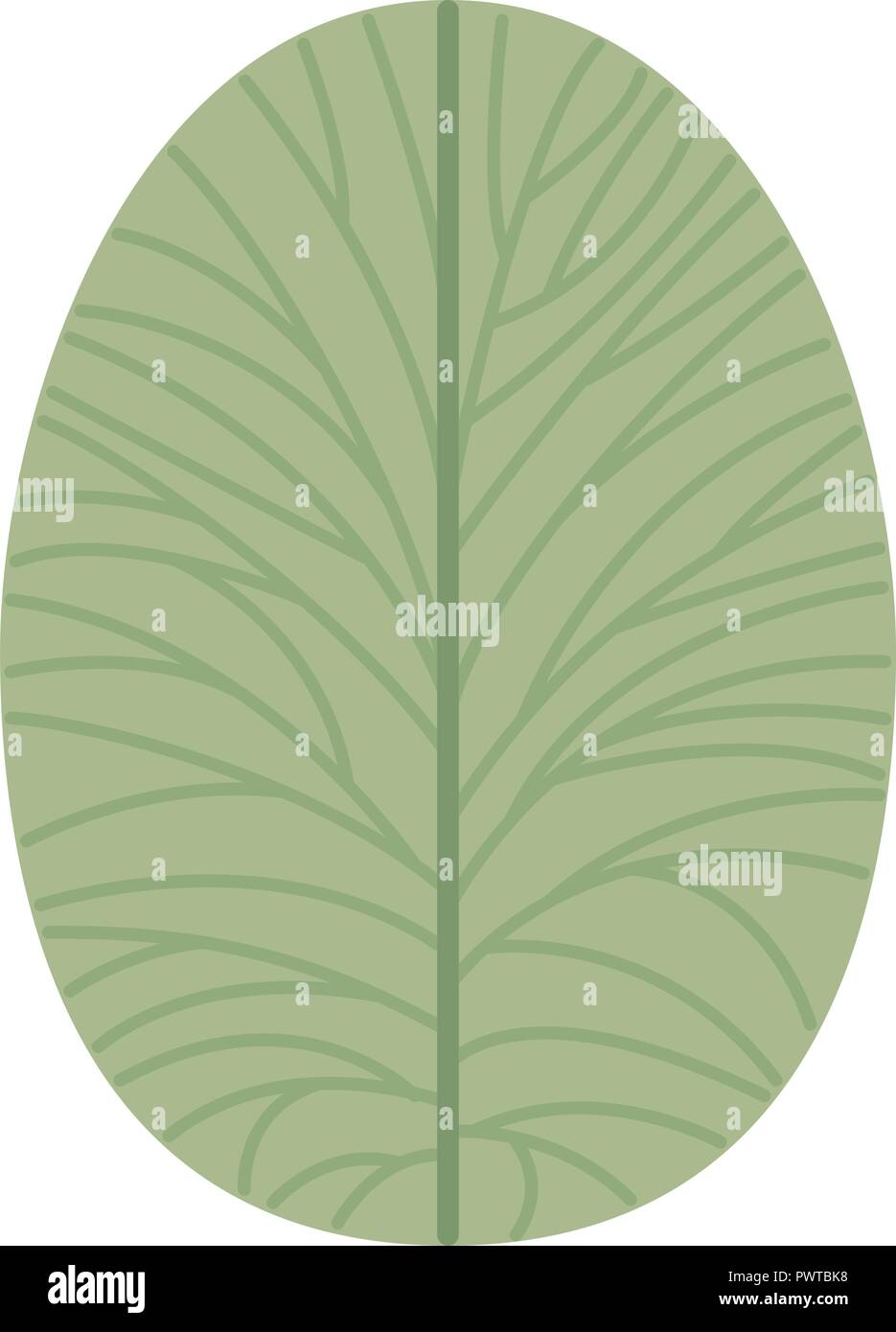beautiful leafs isolated icon Stock Vector Image & Art - Alamy