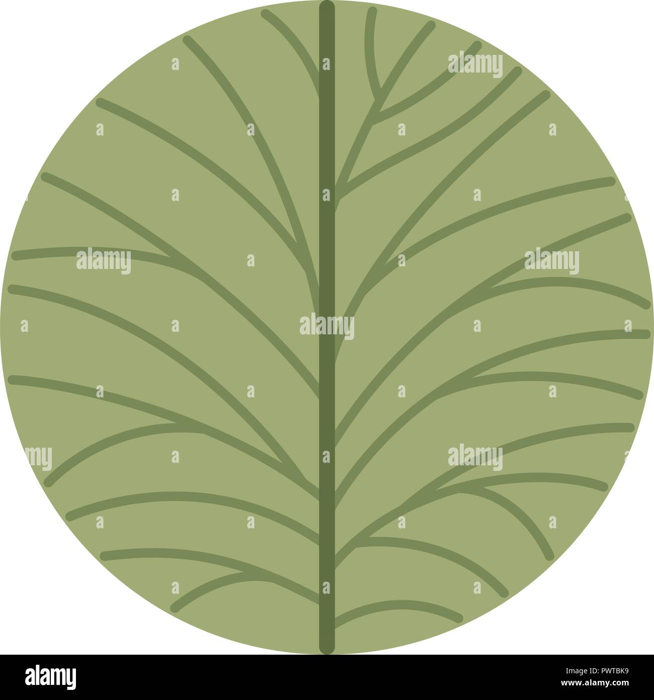 beautiful leafs isolated icon Stock Vector Image & Art - Alamy