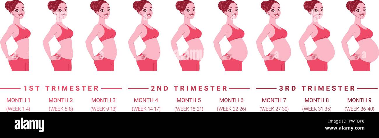Schwangerschaftsbauch Im 5 Monat