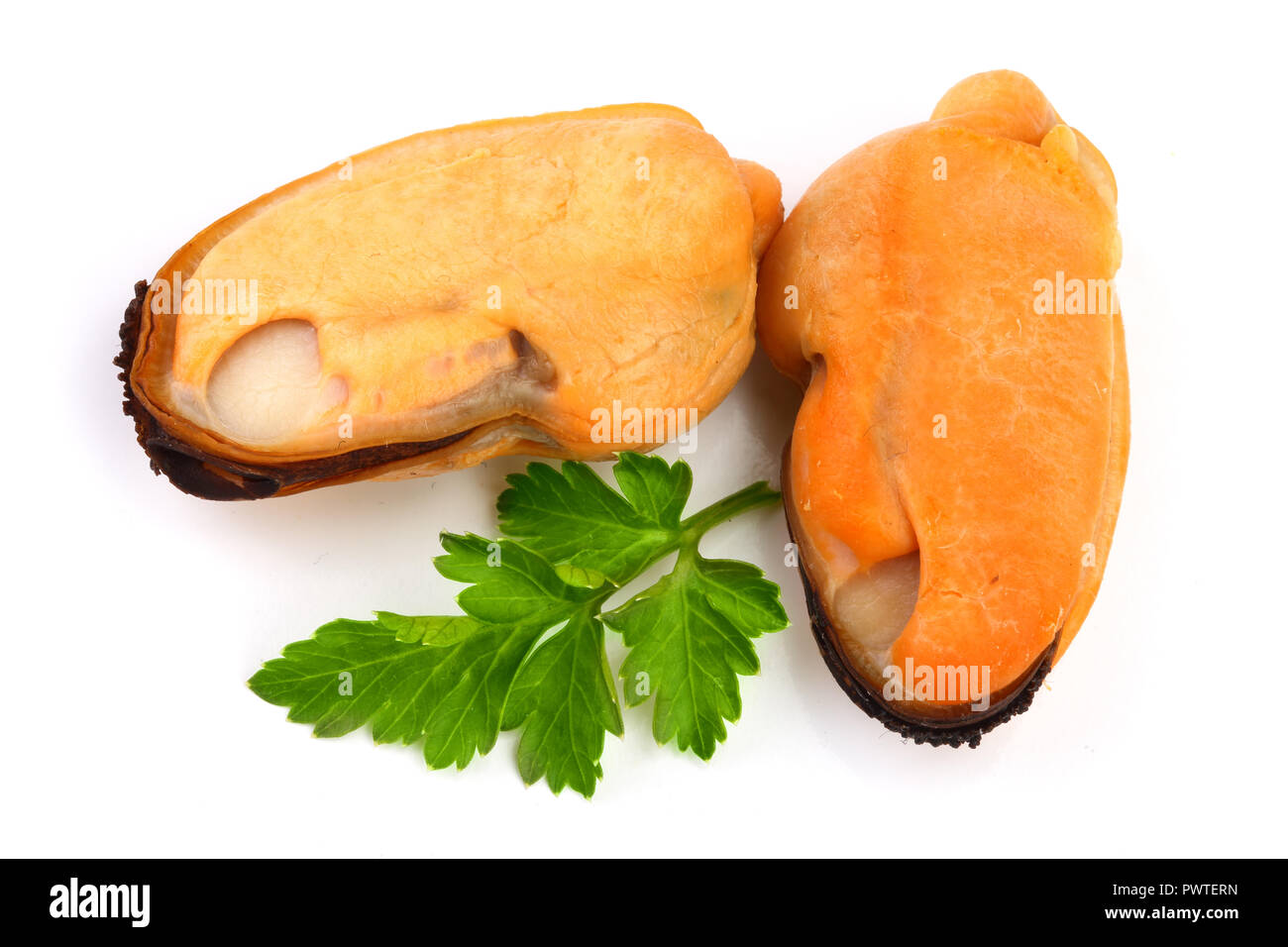 two mussel with parsley leaf isolated on white background Stock Photo ...