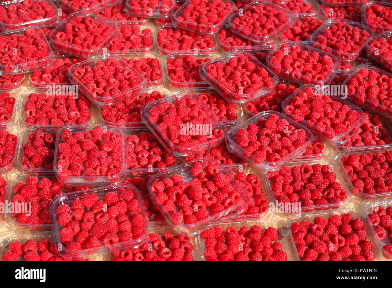 Fresh raspberries  in cups on a market stall, Bremen, Germany, Europe  I  Frische Himbeeren in Schalen auf einem Marktstand, Bremen, Deutschland, Euro Stock Photo