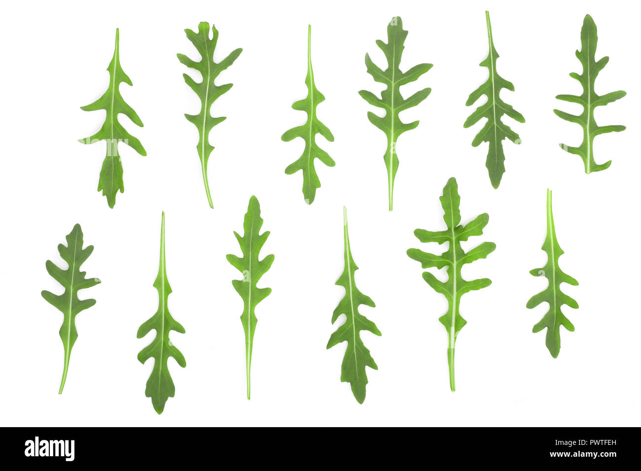 Green fresh rucola or arugula leaf isolated on white background. Top ...