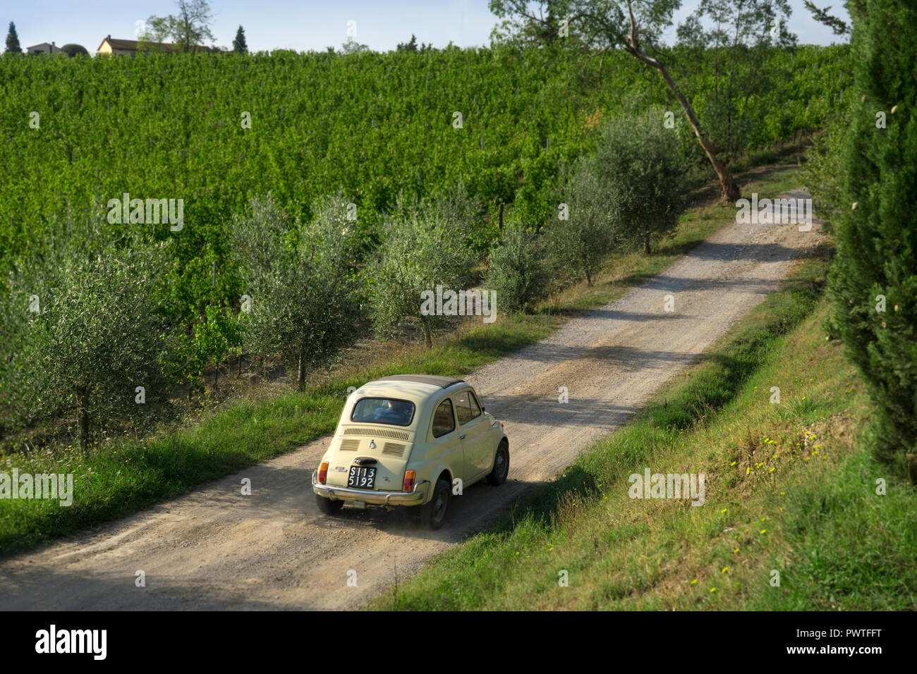 Old fiat 500 car driving on track past vineyards in Tuscany,Italy,Europe Stock Photo