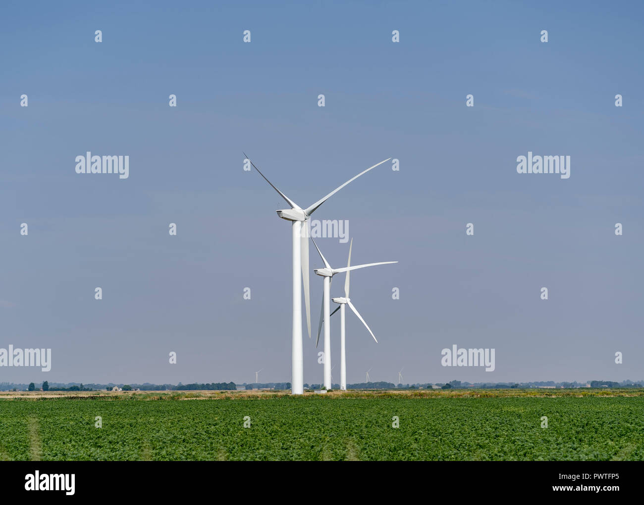 Wind Turbines Stock Photo