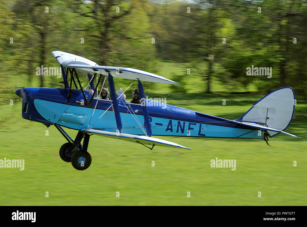 de Havilland DH82A Tiger Moth G-ANFL biplane plane taking off from countryside grass air strip with trees. Henham Park in Suffolk, UK Stock Photo