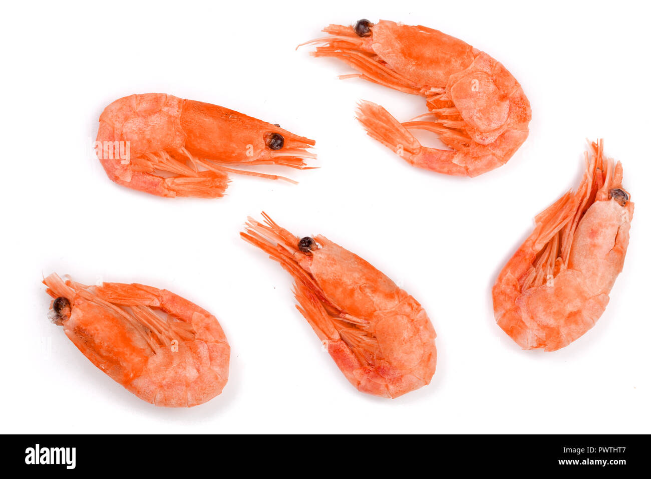 Red cooked prawn or shrimp isolated on white background. Top view. Flat ...