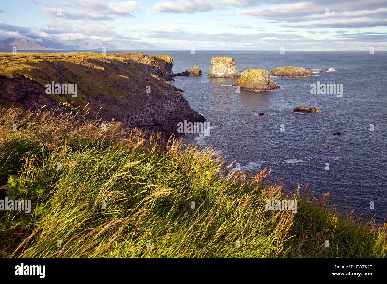 Coastal landscape, rocky coast near Arnarstapi, Snæfellsnes peninsula, West Iceland, Vesturland, Iceland Stock Photo