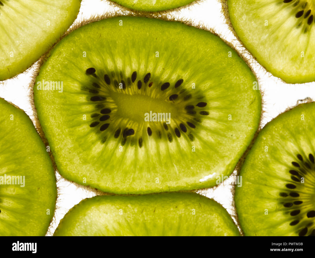 Kiwi fruit farm new zealand hi-res stock photography and images - Alamy