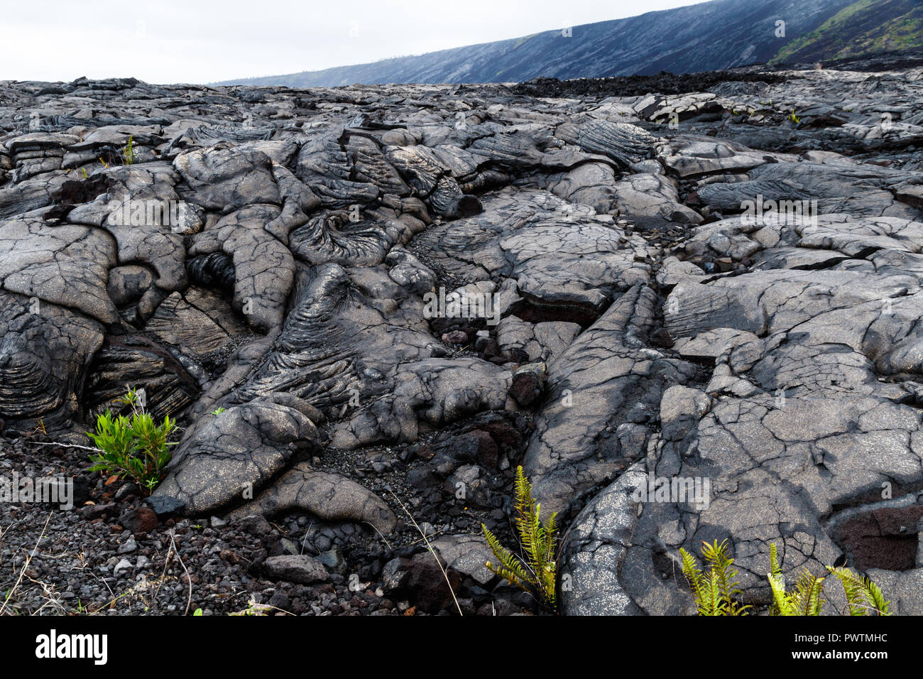 View of massive pahoehoe lava flow in Volcano National Park, on Hawaii