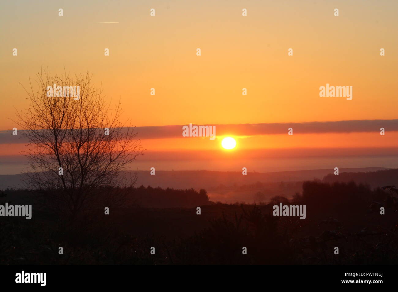 Early morning sunrise with trees Stock Photo - Alamy