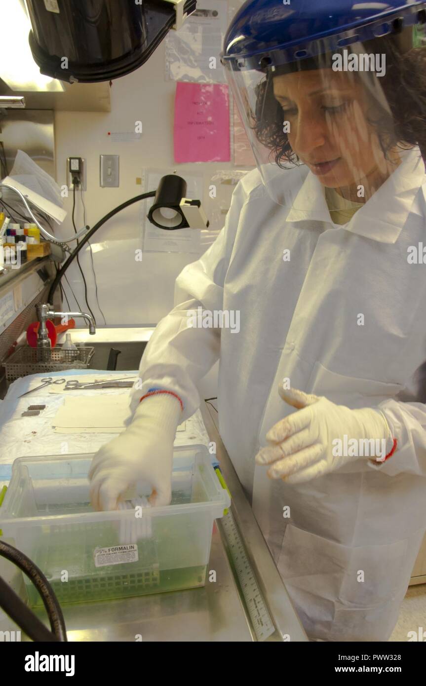 Wright patterson medical center hi-res stock photography and images - Alamy