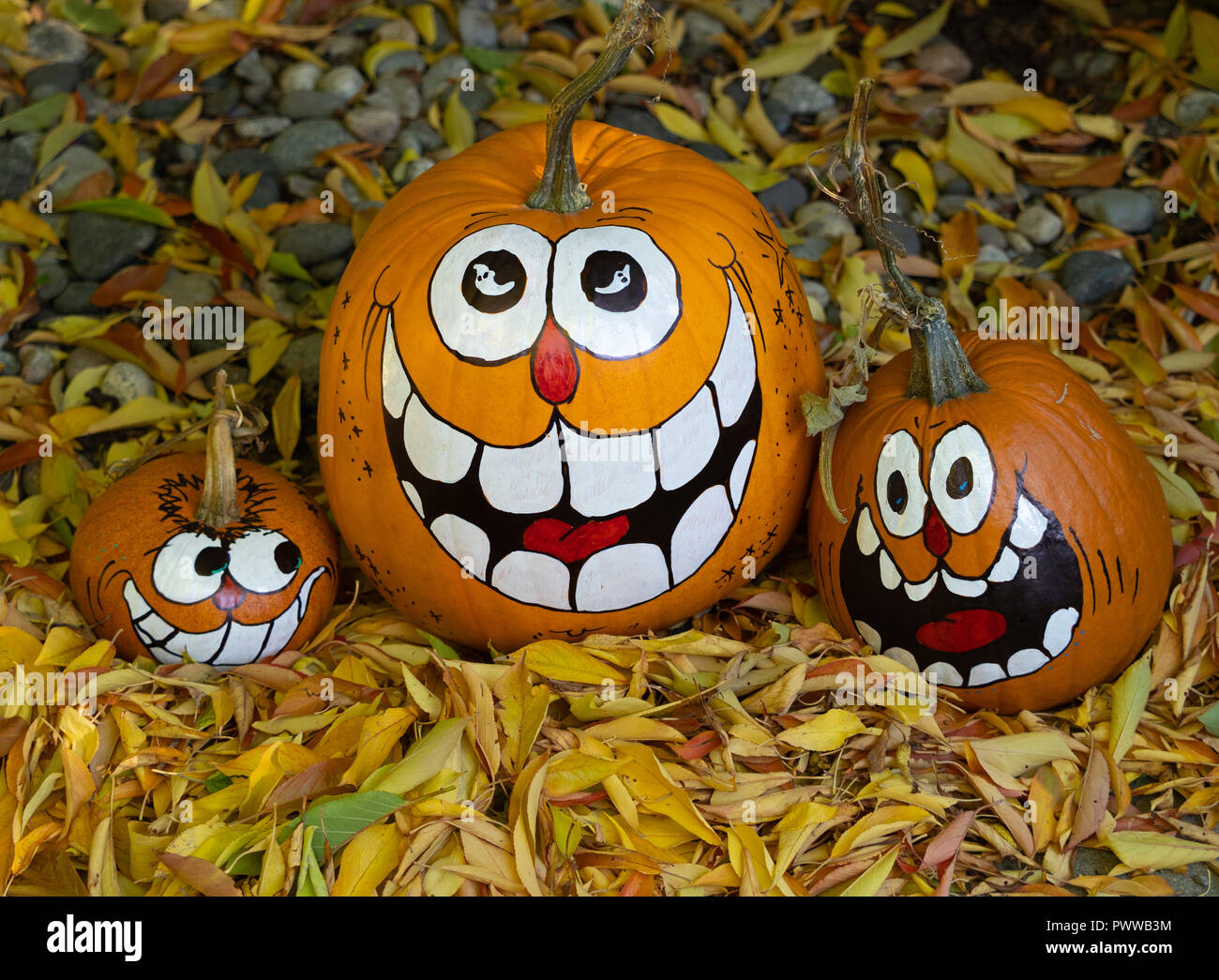 Large Pumpkin Leaves High Resolution Stock Photography And Images Alamy