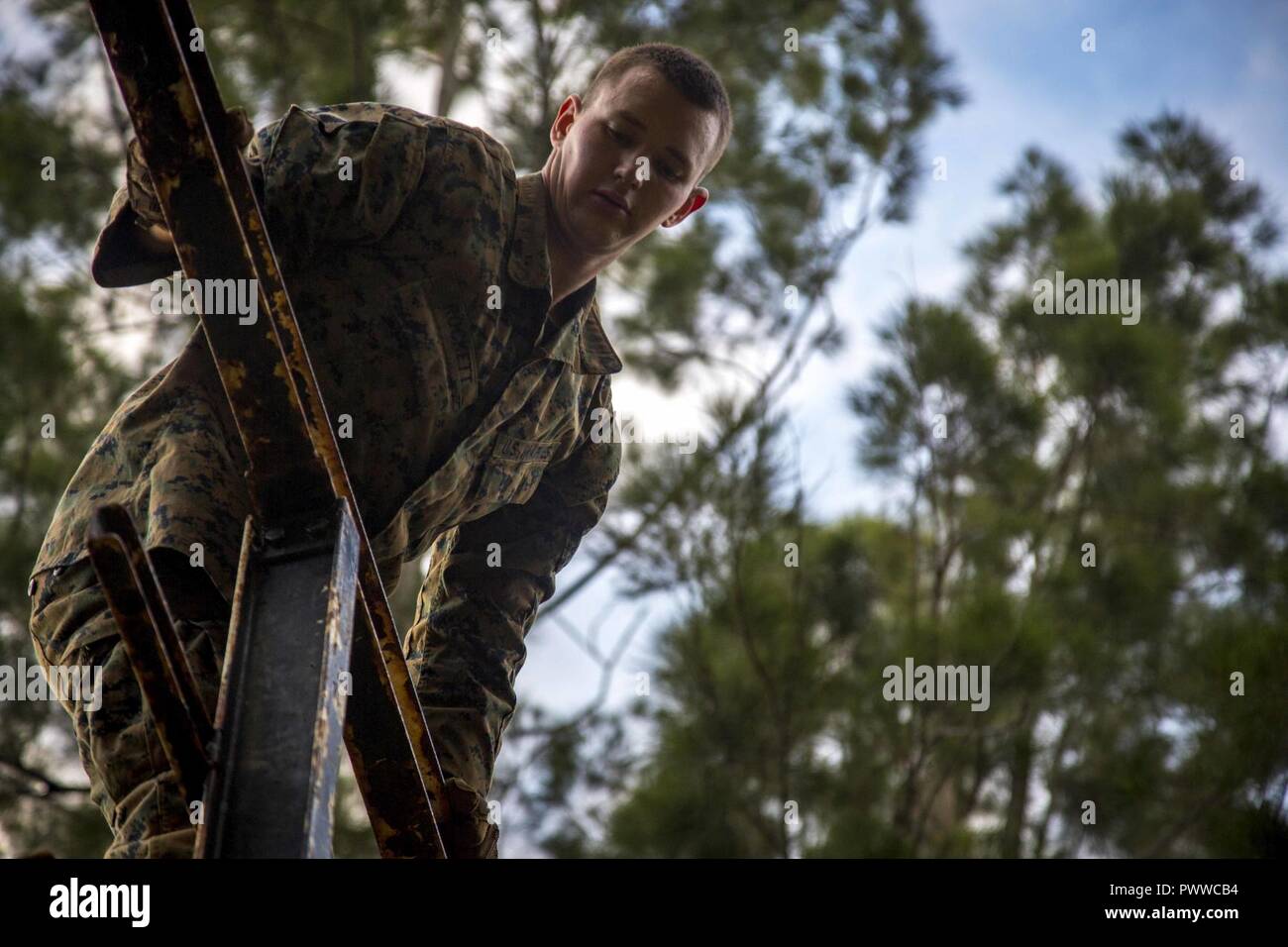 U.S. Marine Corps Lance Cpl. Caleb Rockett, an infantryman with Task Force Koa Moana 17, climbs a ladder as a part of the North Atlantic Treaty Organization obstacle course at Plum, New Caledonia, June 30, 2017. Koa Moana 17 is designed to improve interoperability with our partners, enhance military-to-military relations, and expose the Marine Corps forces to different types of terrain for familiarity in the event of a natural disaster in the region. Stock Photo