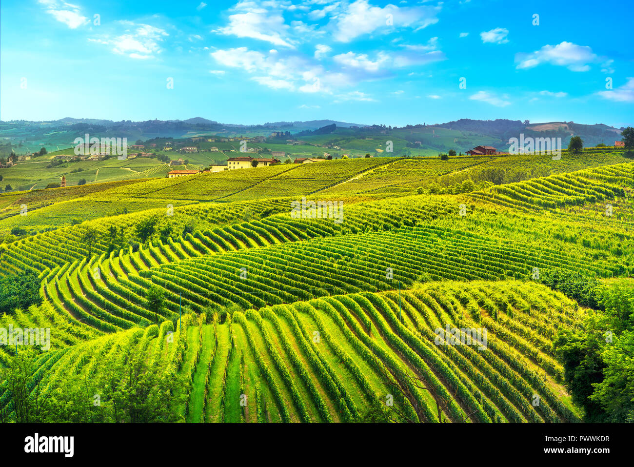 Langhe vineyards sunset panorama, Unesco Site, Piedmont, Northern Italy Europe. Stock Photo