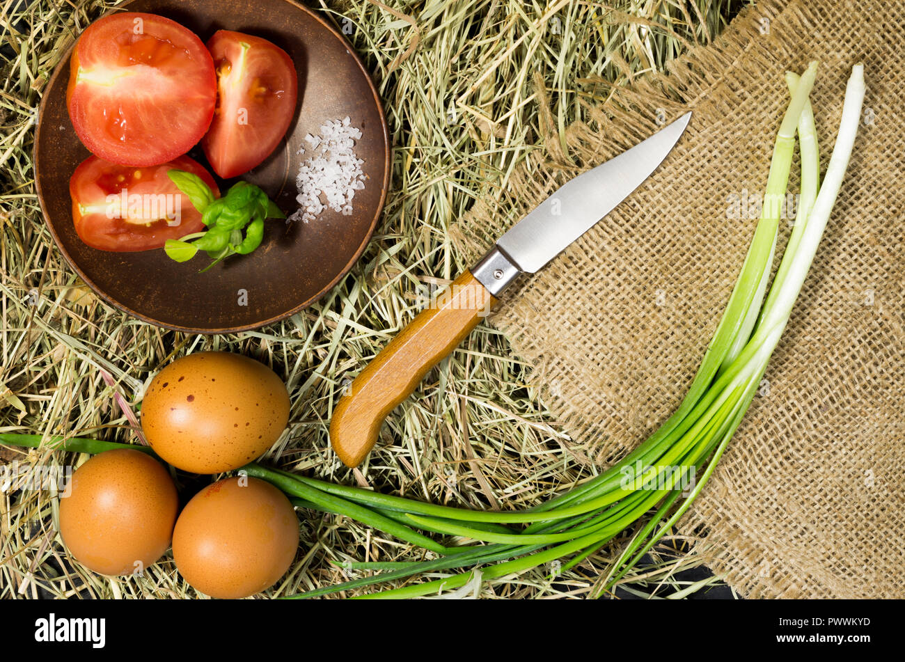 Knife for cutting vegetables in the field, vegetable garden in nature