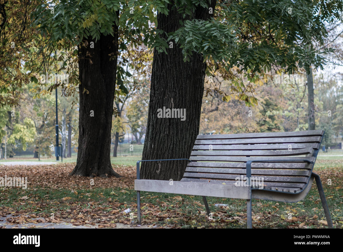 Autumn sadness of upcoming cold and rawness Stock Photo