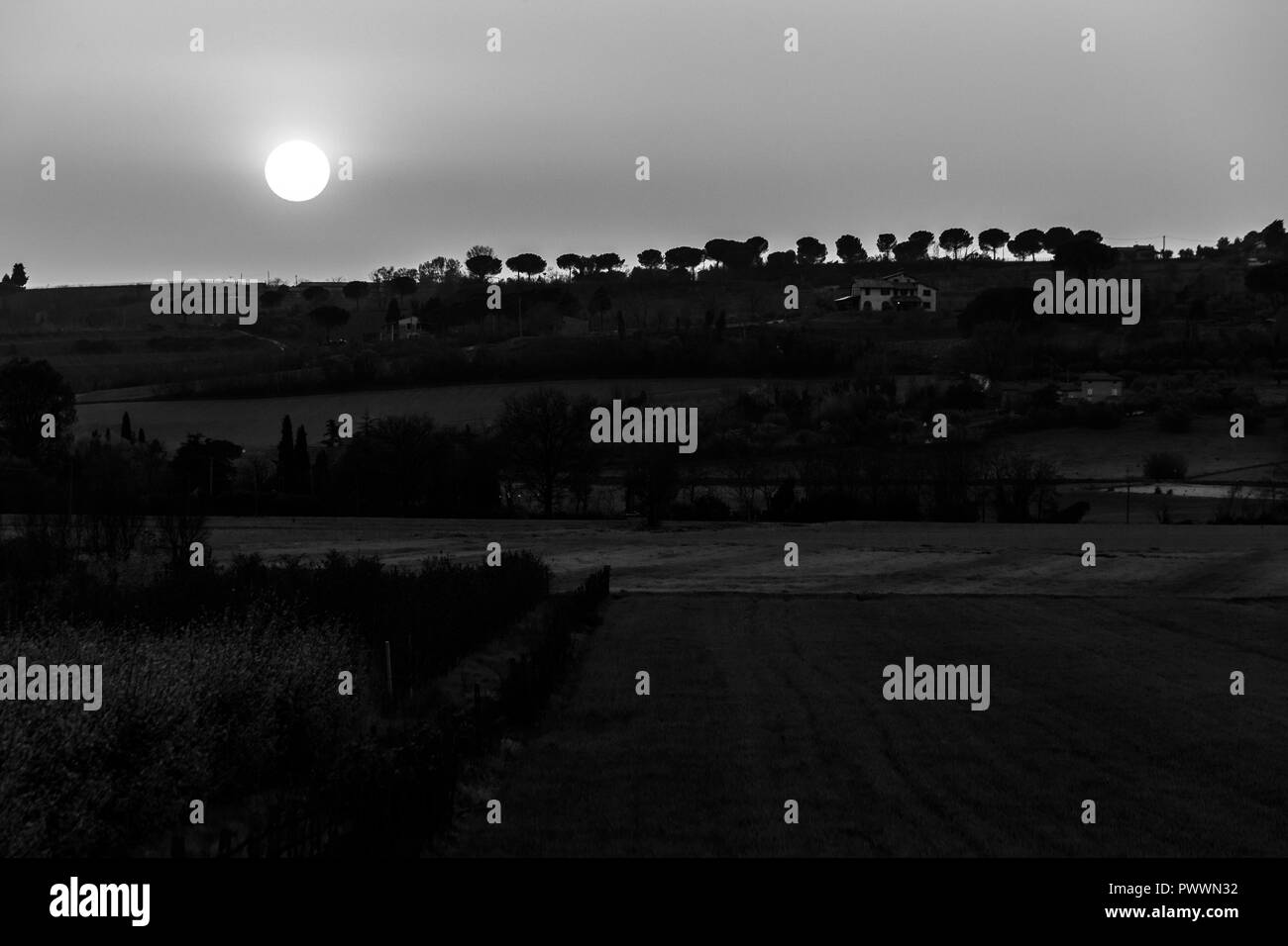 Sunset over trees silhouettes Stock Photo