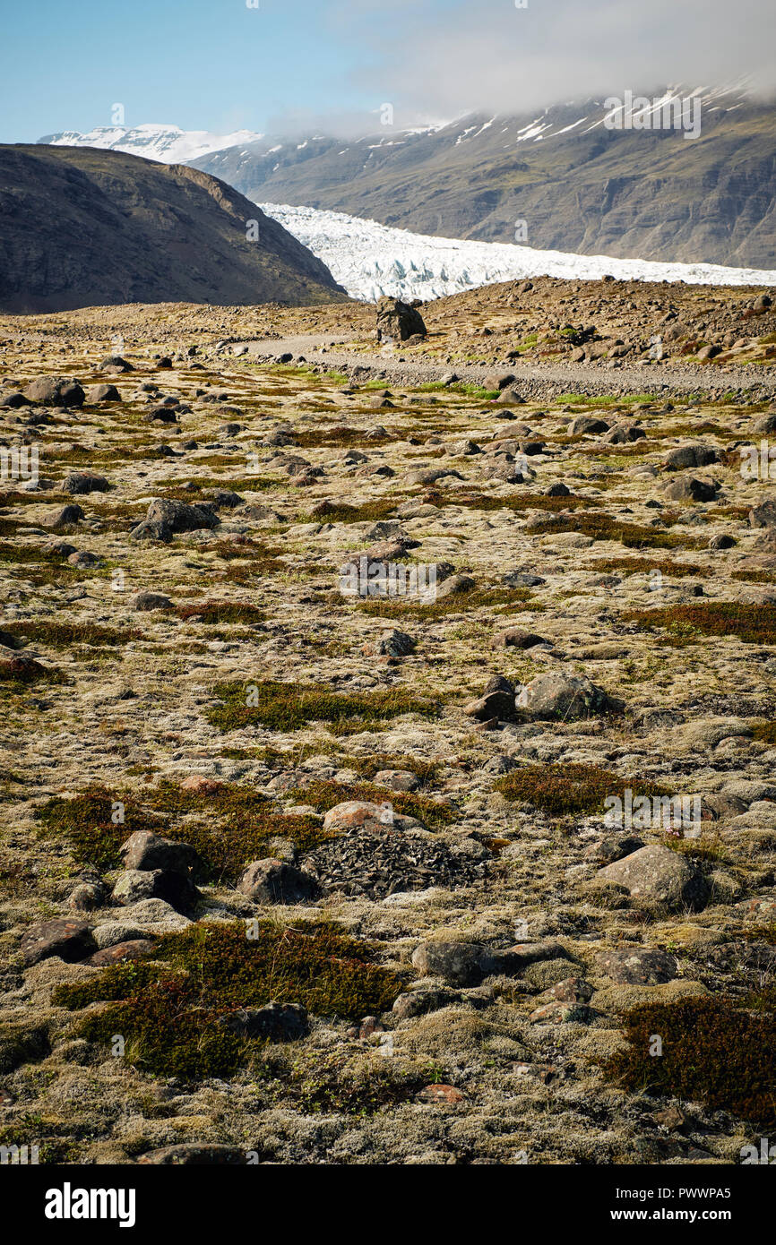 A glacier and the moss tundra landscape of south east Iceland Stock Photo
