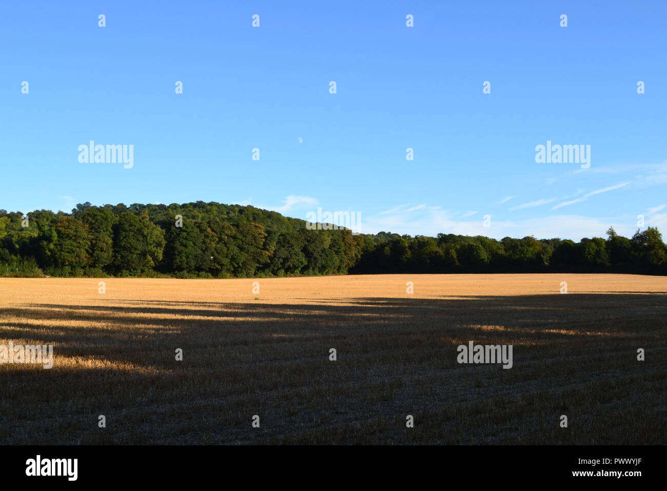 Field at Shoreham, Kent, England. Darent Valley. September day.  Popular area for walkers. Area of outstanding natural beauty. Near London, UK, Europe Stock Photo