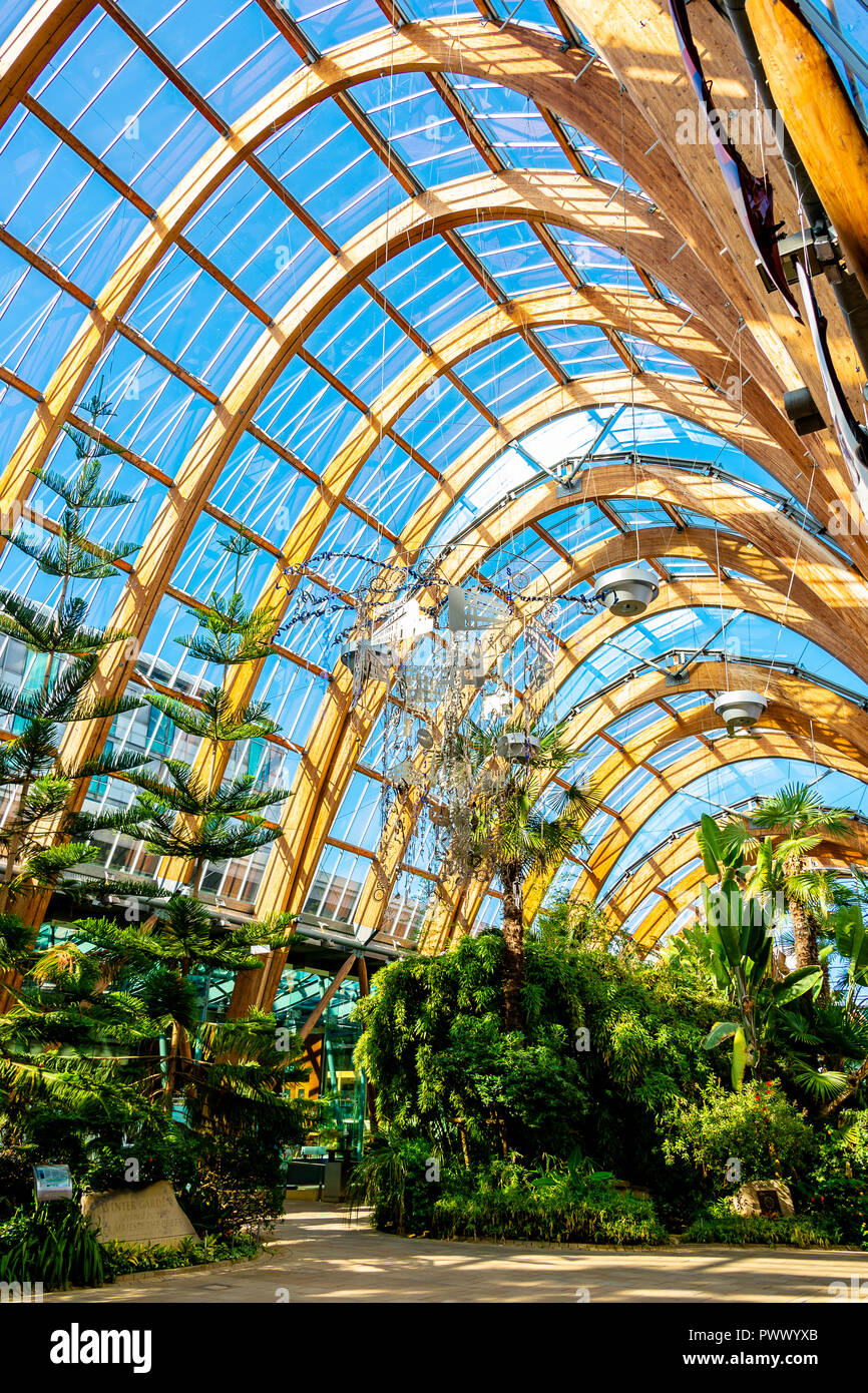 Sheffield, UK August 31 2018 Sheffield Winter Garden urban greenhouse