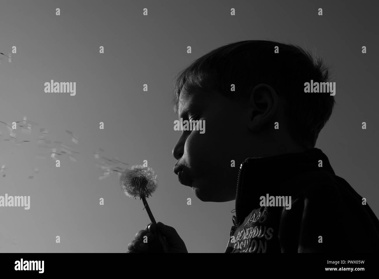 Boy blowing a dandelion clock Stock Photo