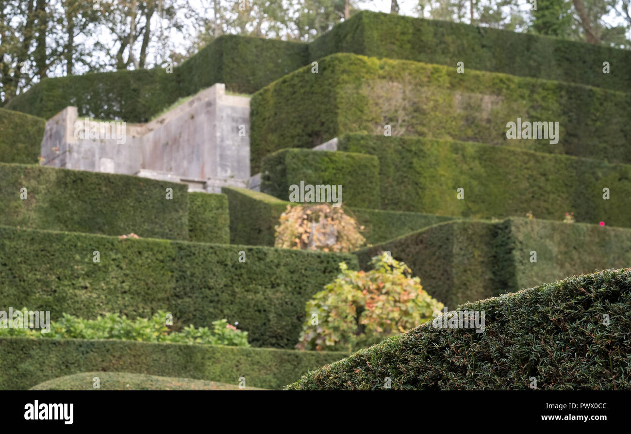Port Lympne, Ashford Kent UK. View of the gardens, including beautifully manicured box hedges, at Port Lympne Hotel. Stock Photo