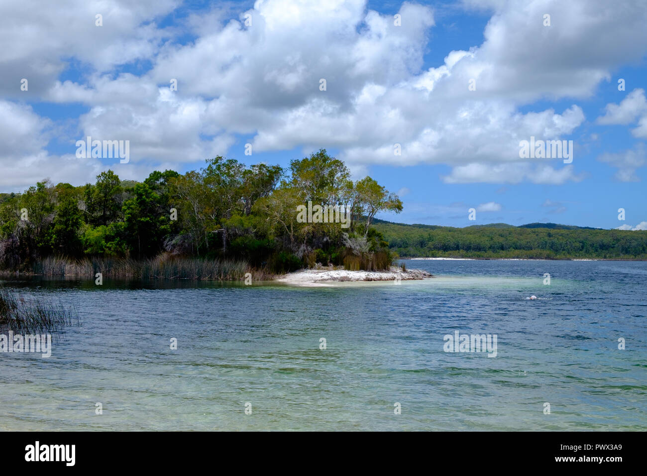 Lake McKenzie - Fraser Island Stock Photo