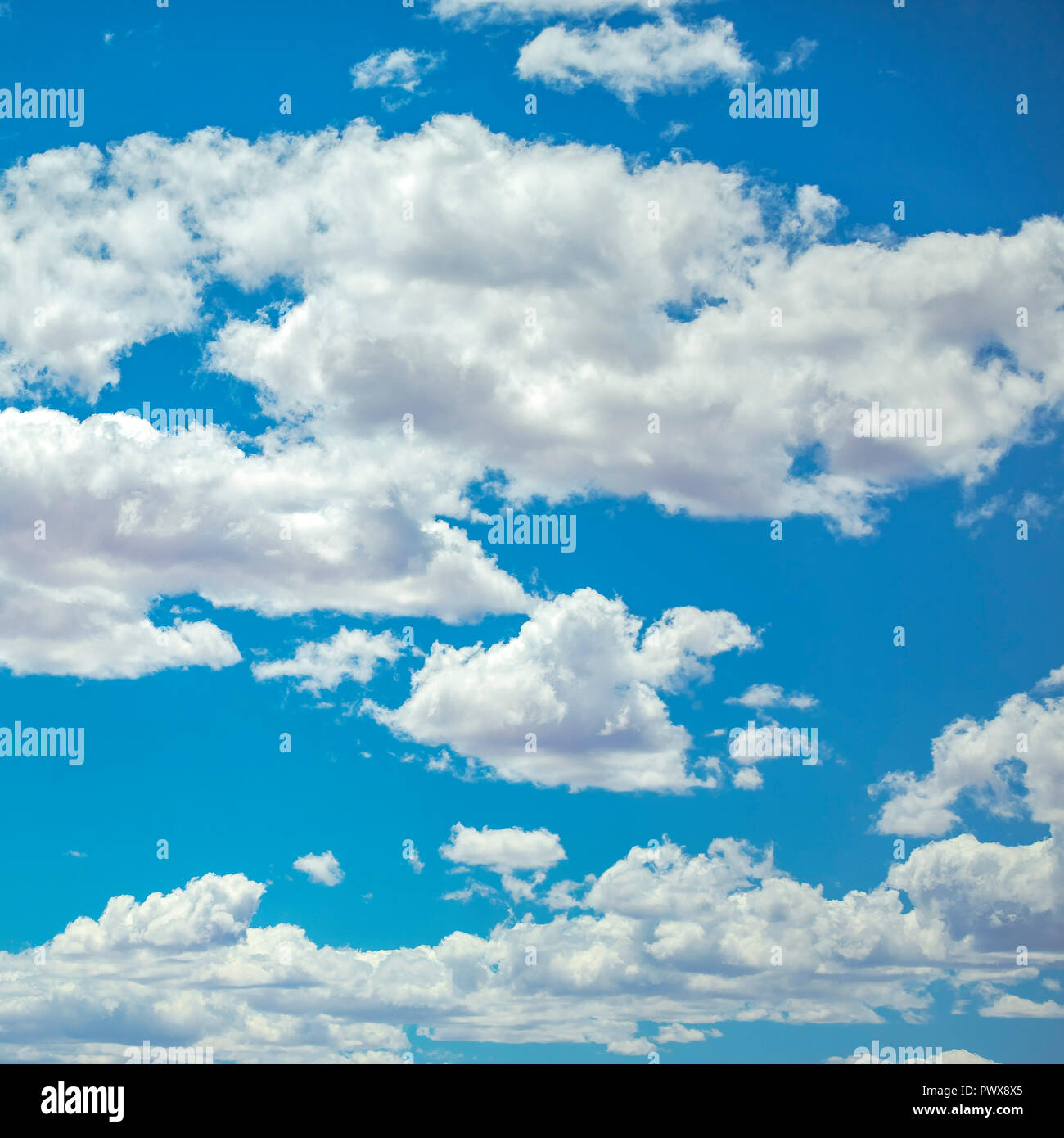 White puffy clouds on a vivid blue sky Stock Photo