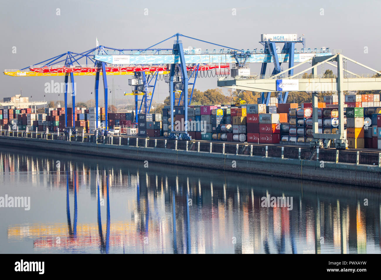 Container terminal in the Rhein-Neckar-Hafen Mannheim, in terms of area the largest inland port in Germany, container transshipment from river, rail a Stock Photo