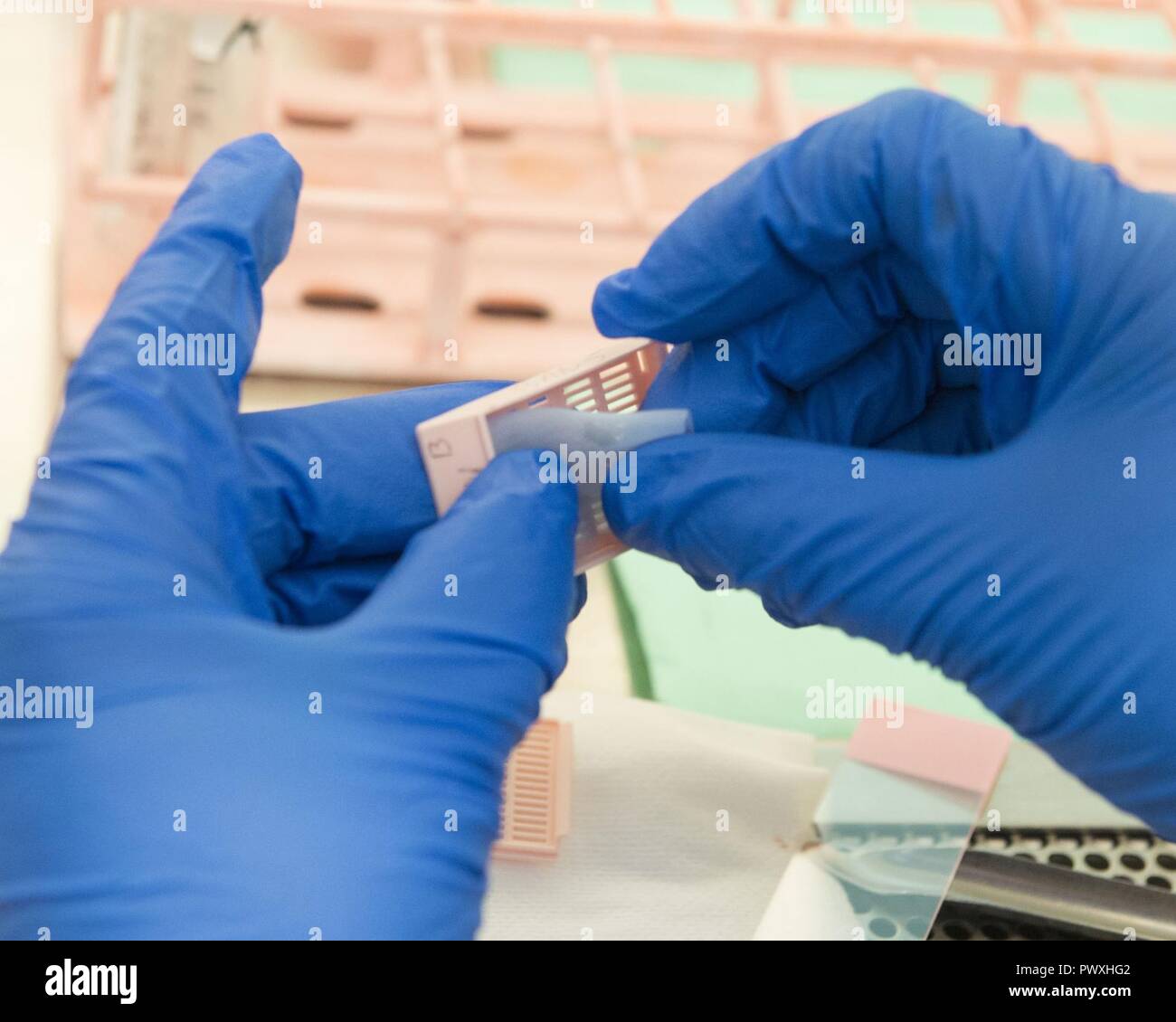 Pamela Baker, 88th Medical Operations Squadron cytology technician