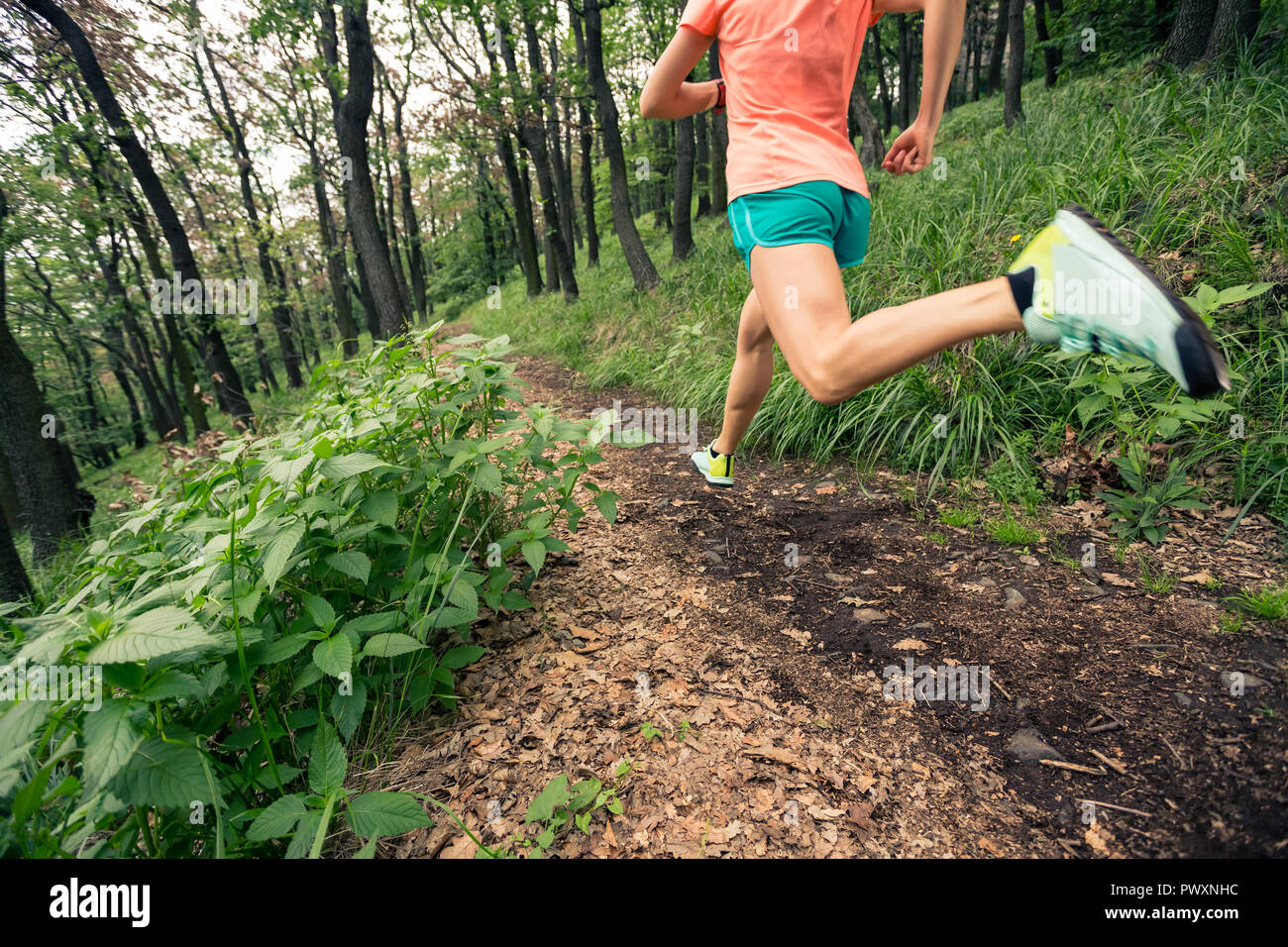 Young woman running in green forest. Endurance sport training. Female