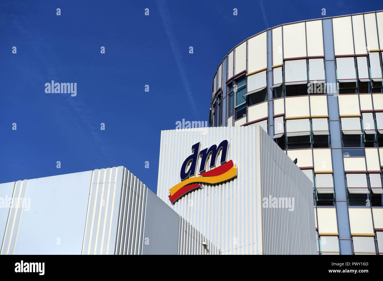 stellenangebote dm karlsruhe