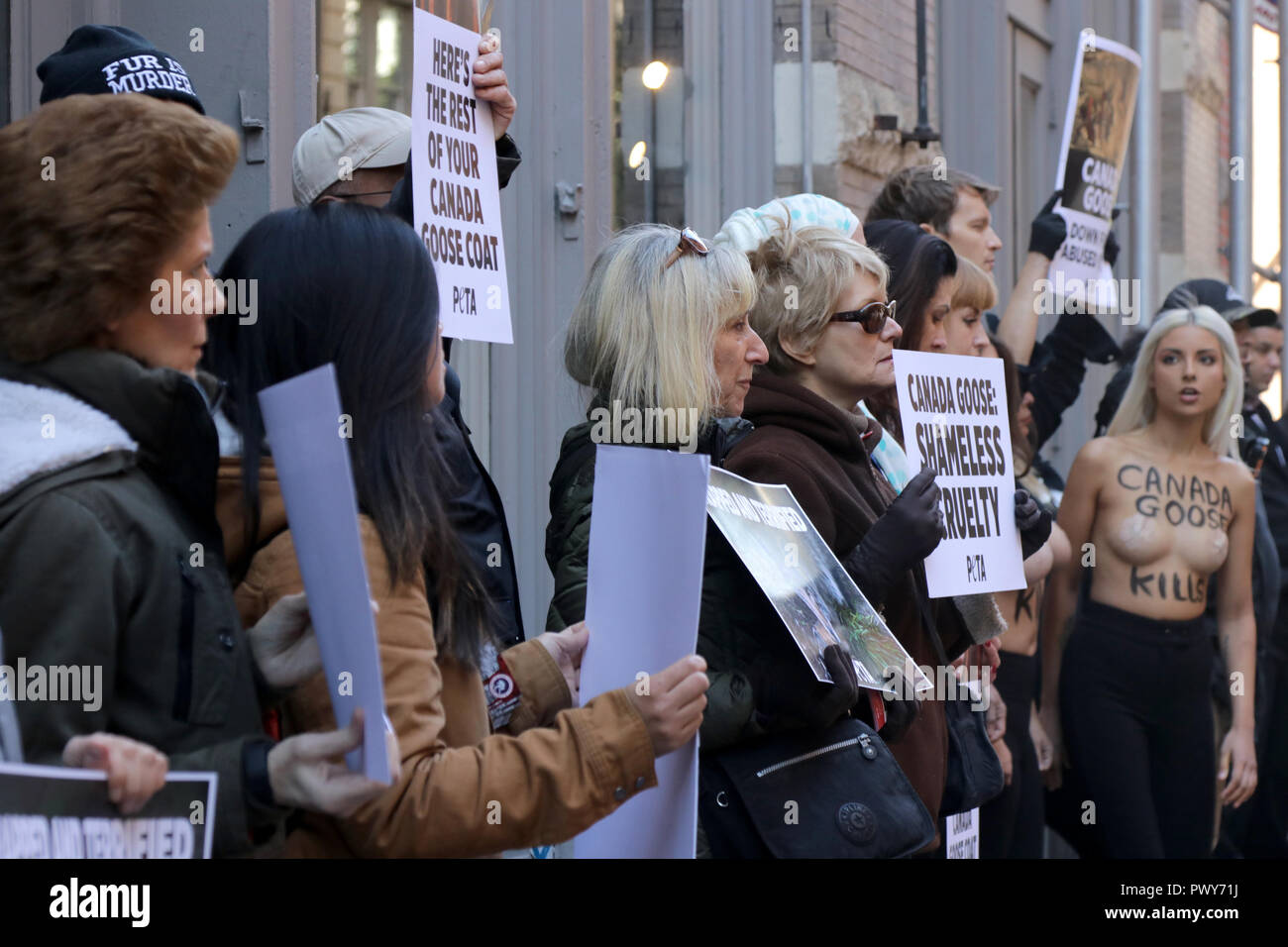 New York NY USA. 18th. Oct. 2018. American animal rights