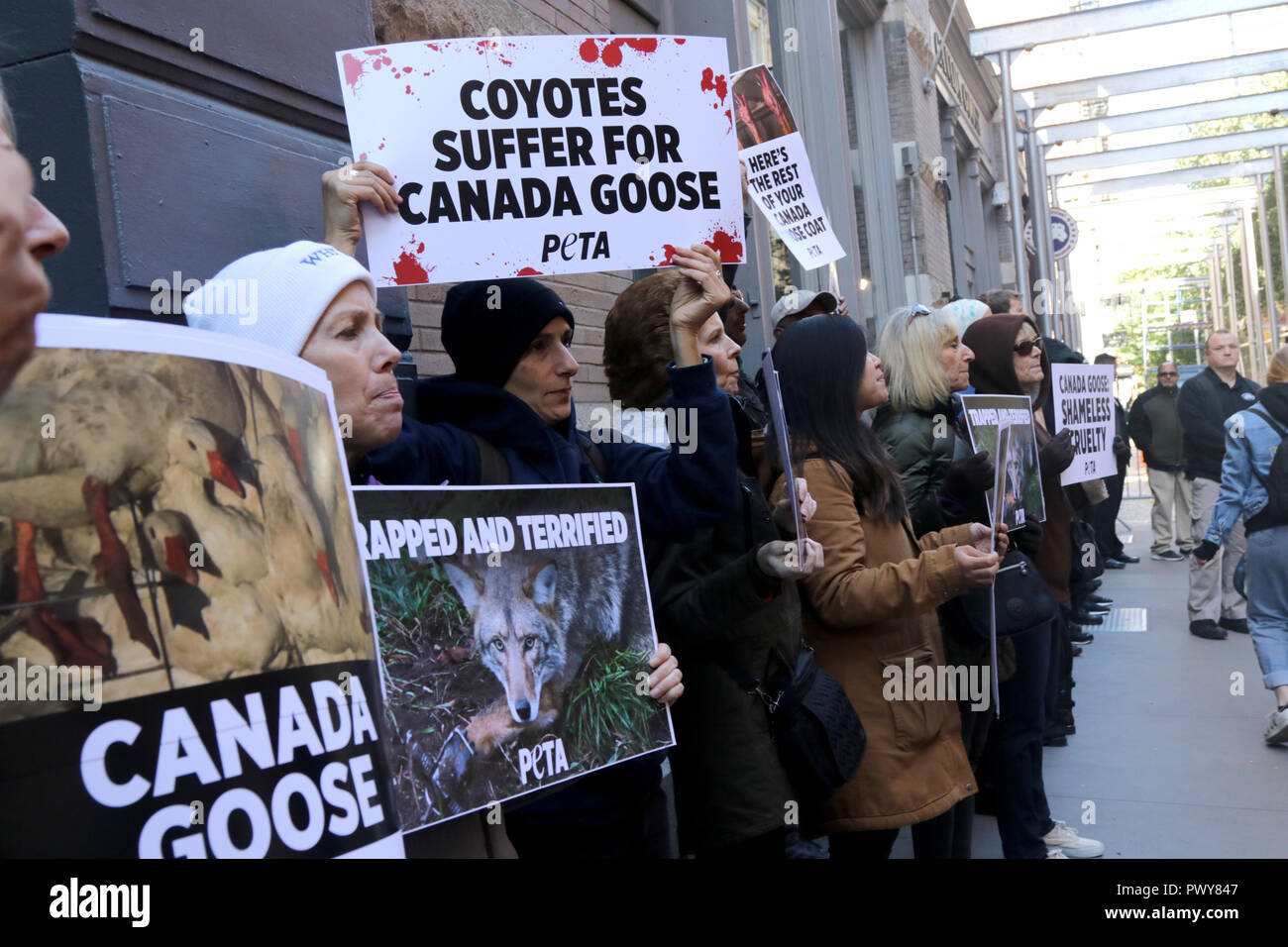 Canada goose peta wilson sales