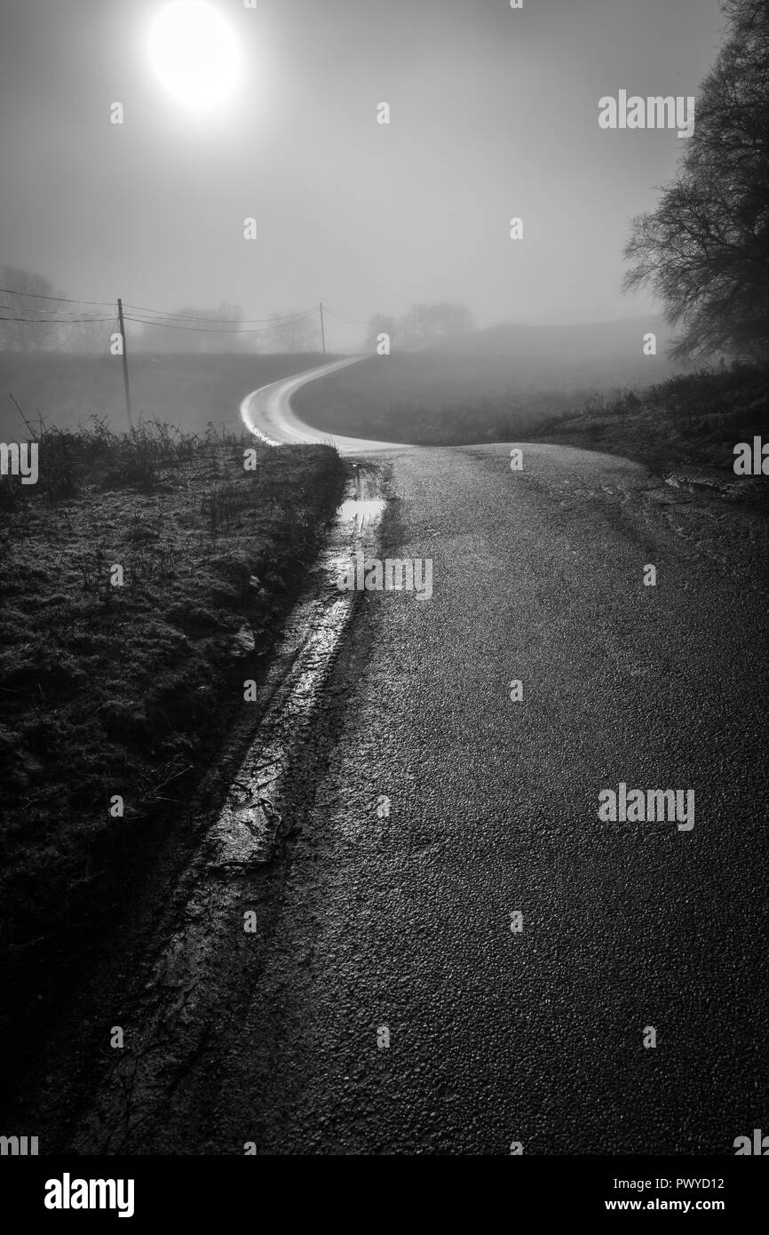 A road twists into the distance on a misty damp morning Stock Photo