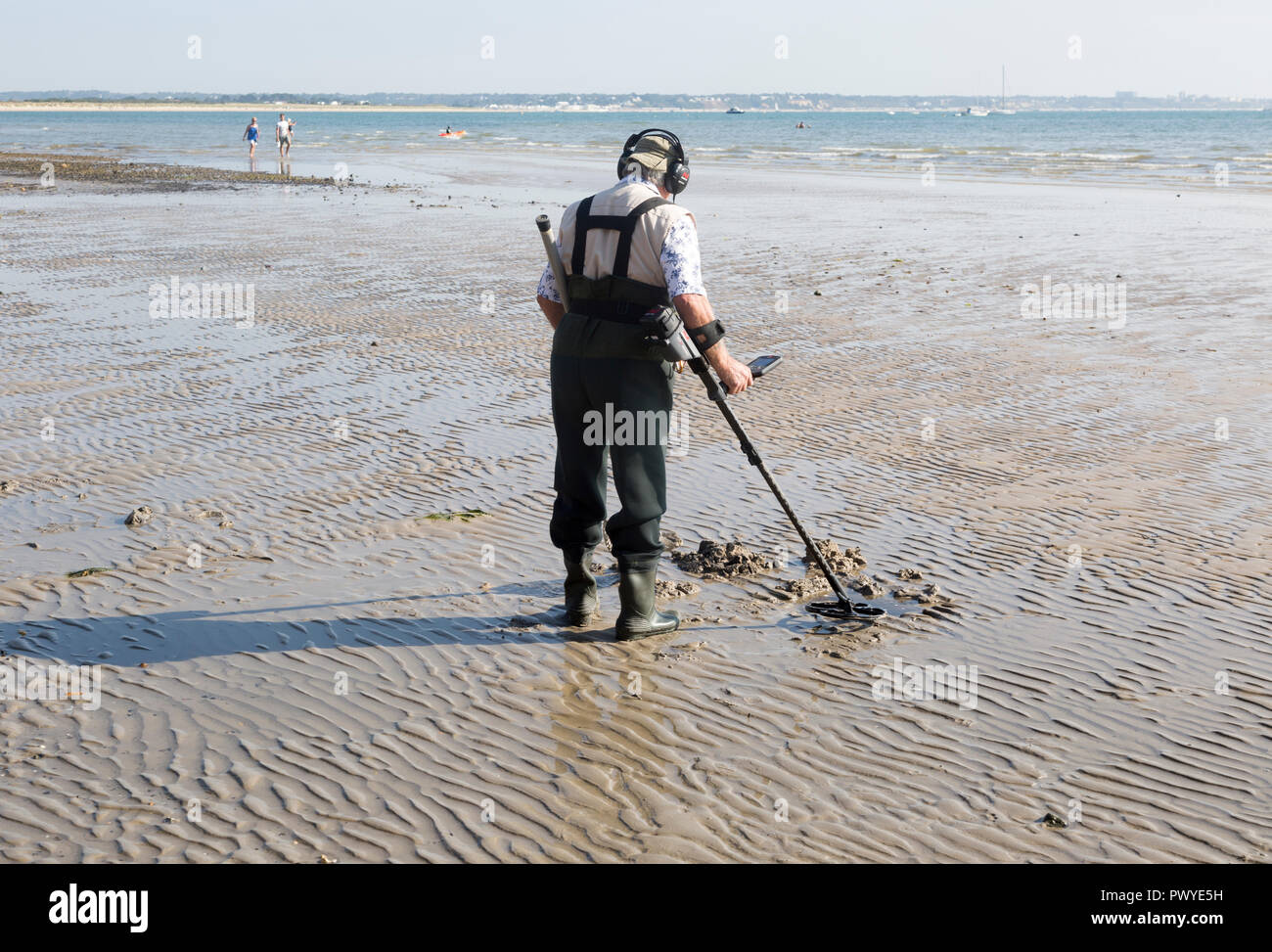 Male detectorist using metal detector at low tide, sandy beach Studland
