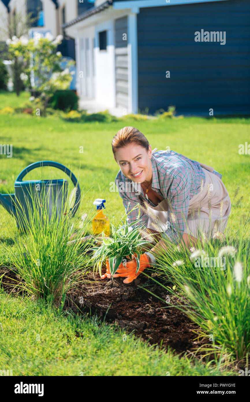 Beaming blonde-haired family woman watering her flowers bed outside Stock Photo