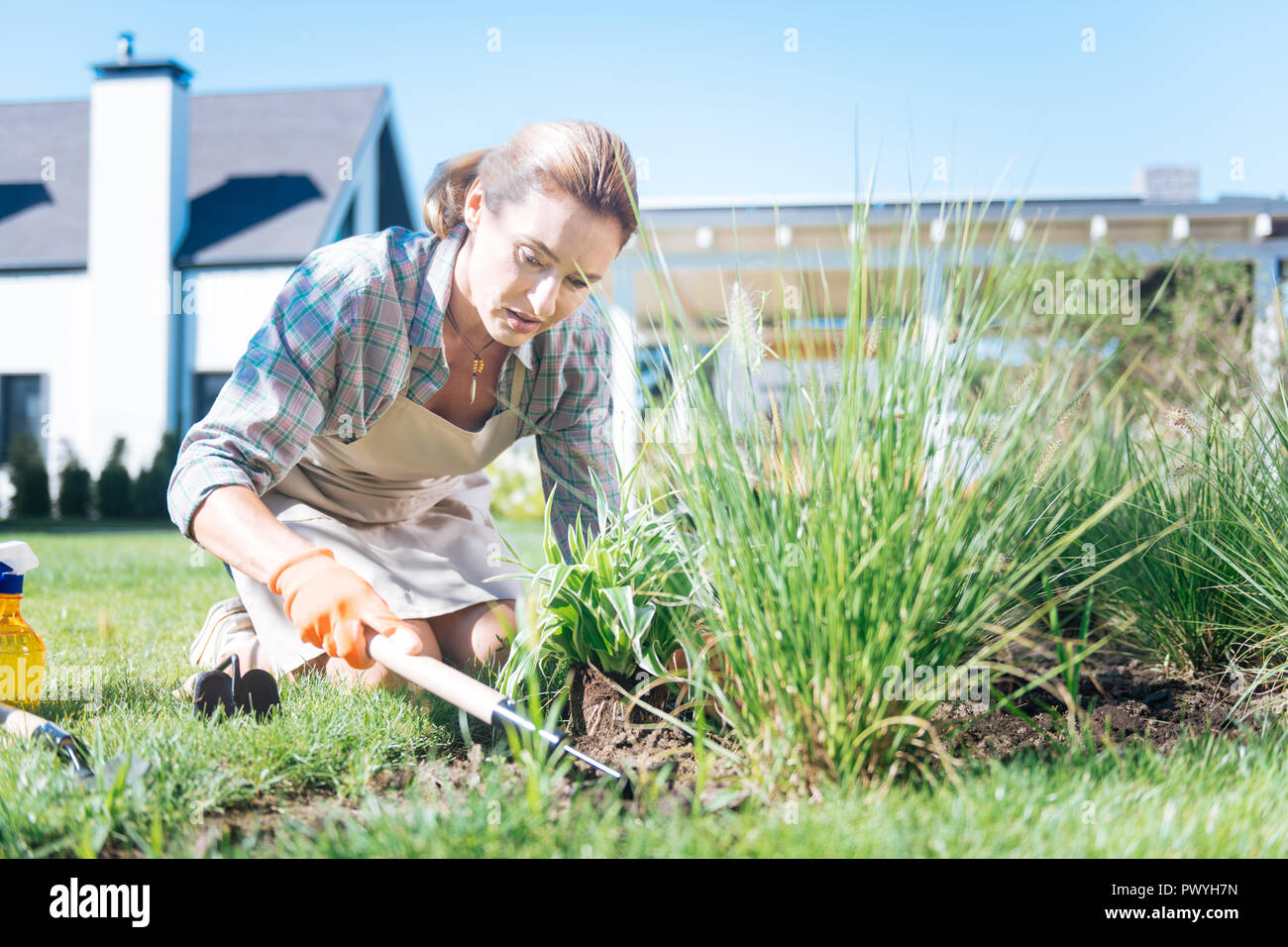 Good-looking housewife pulling weeds while spending her morning in the patio Stock Photo