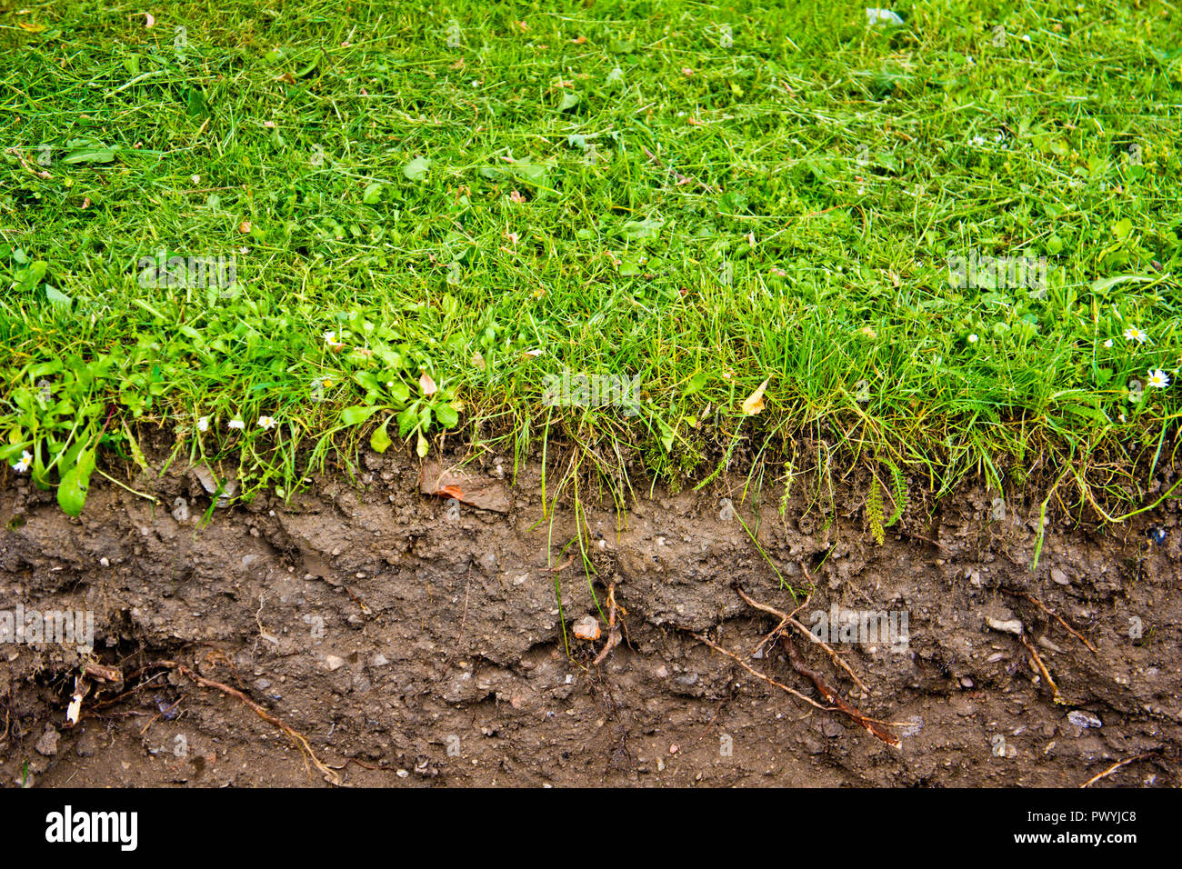 side view of grass and terrain below Stock Photo Alamy
