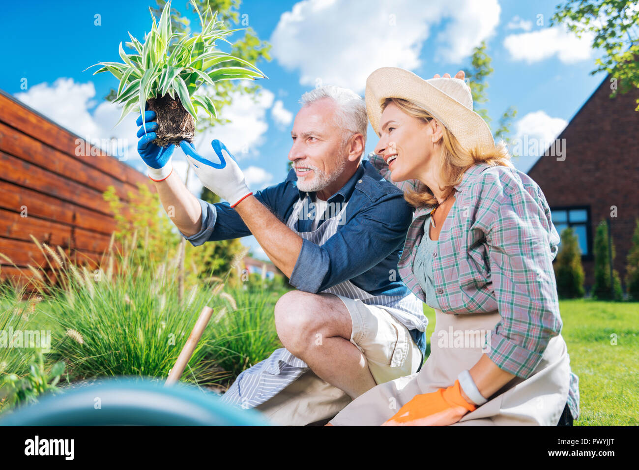 Happy loving couple feeling contended looking at their new green home plant Stock Photo