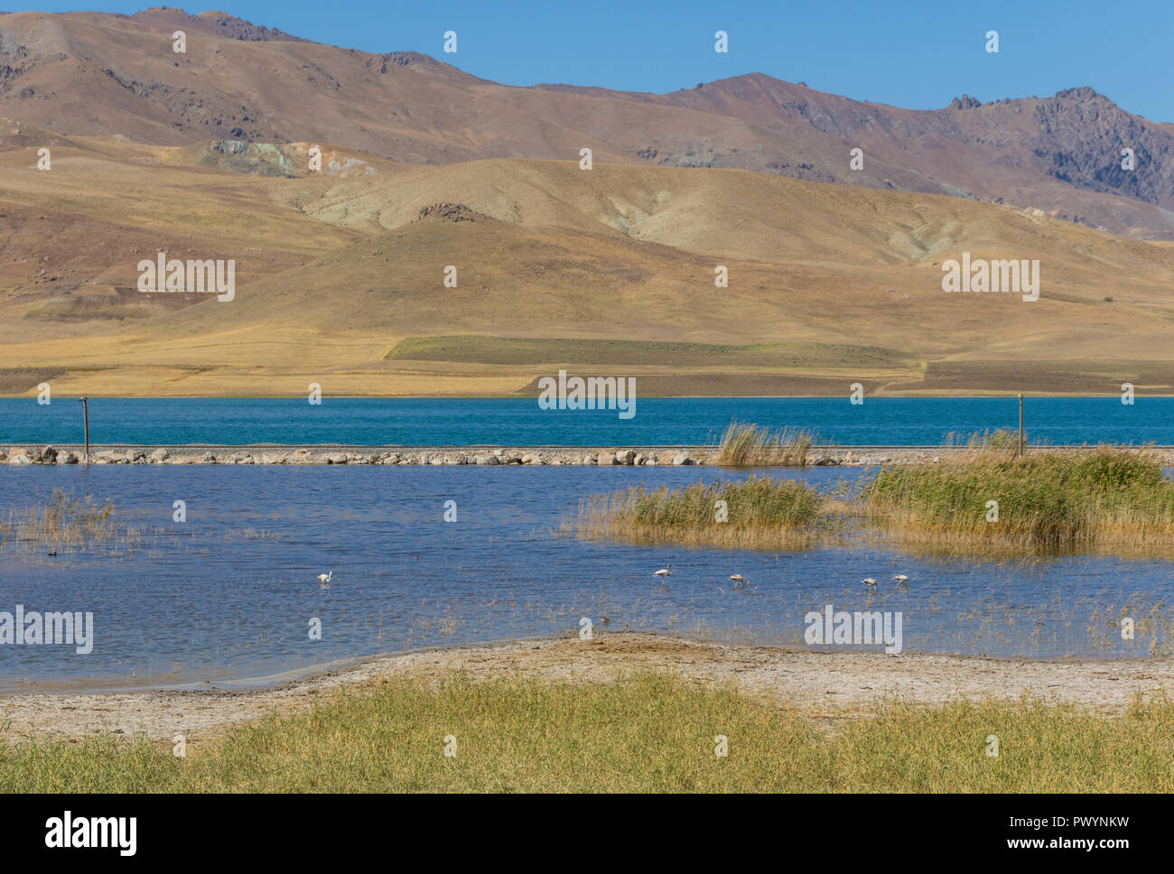 Lake Van, Turkey - on the high plain between Ararat, Iraq and Iran, an ...