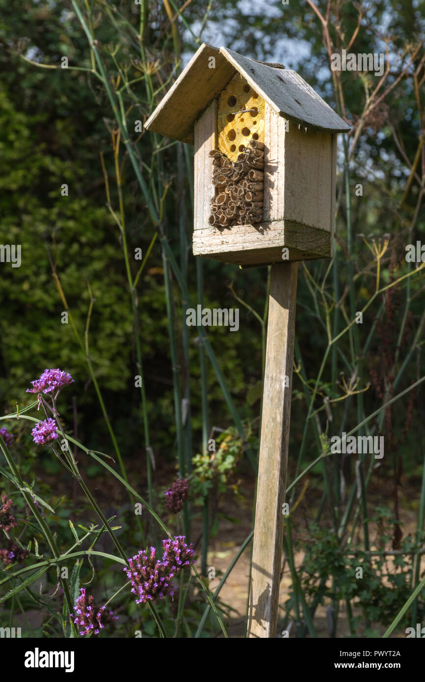 Bee house (bug house) in a garden with nectar flowers nearby Stock Photo