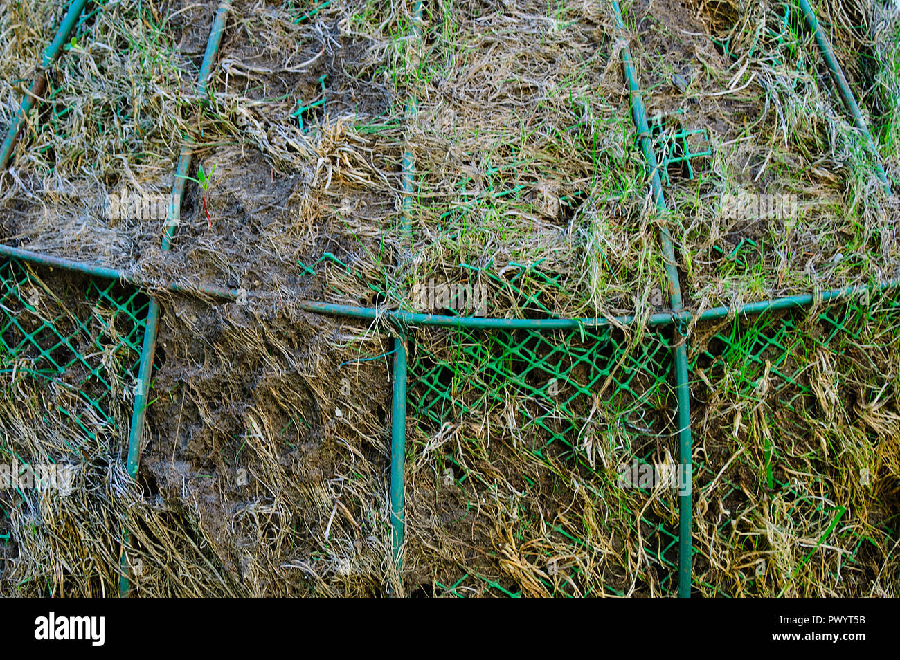 Decorative installation hi-res stock photography and images - Alamy