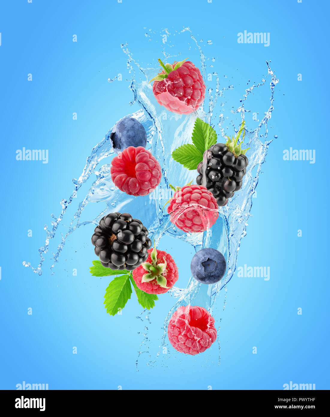 berries in water splash isolated on a white background Stock Photo Alamy